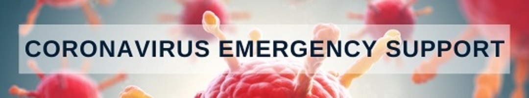 Woodruff Financial Planning Coronavirus emergency support Woodruff Financial Planning Financial Emergency